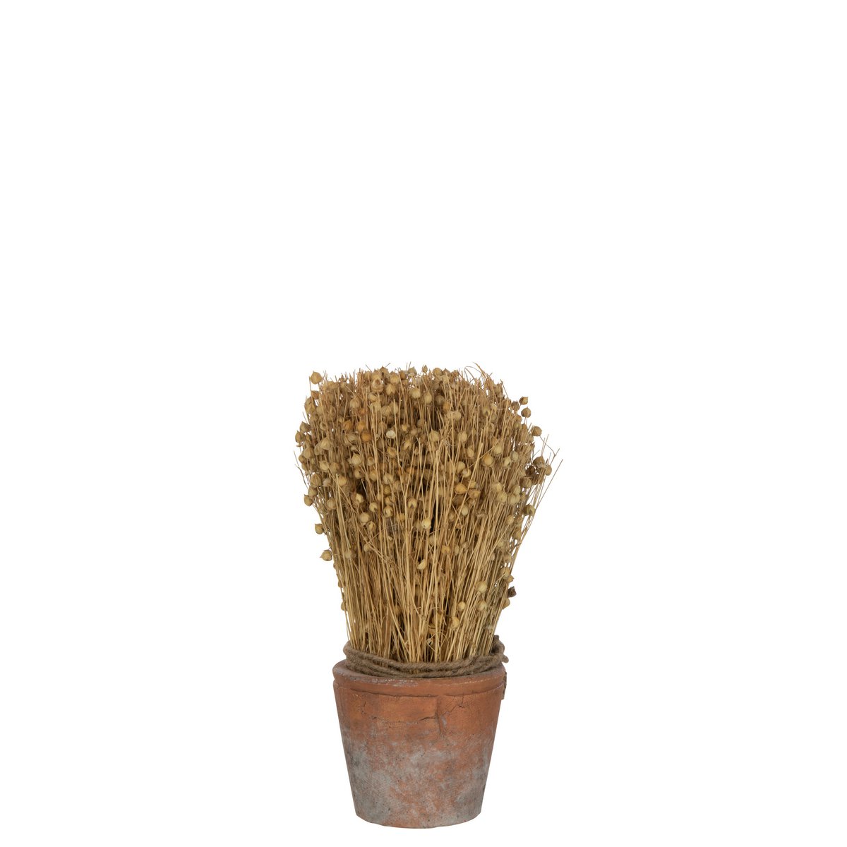 J-Line - Gedroogd Vlas In Terracotta Pot - Jute - Naturel