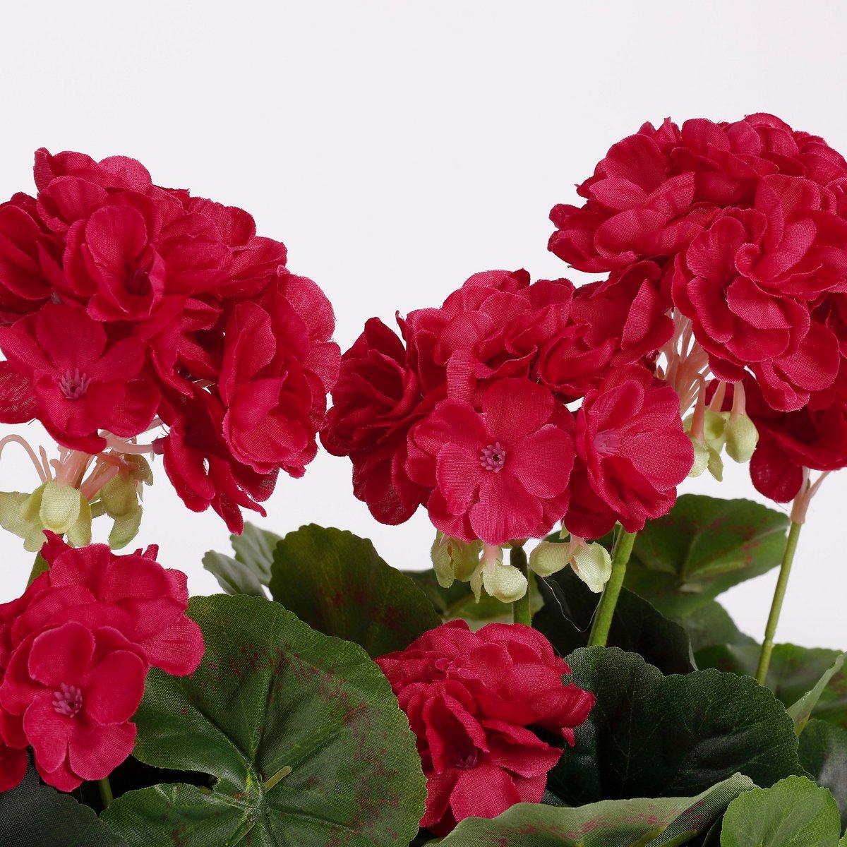 Mica Decorations - Geranium Kunstplant in Balkonbak - L29 x B13 x H40 cm - Donkerroze