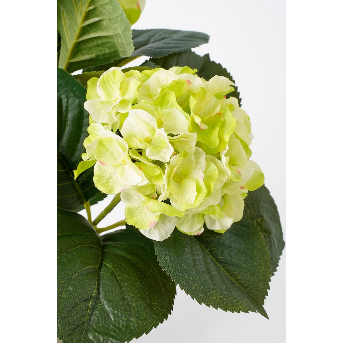 Mica Decorations - Hortensia Kunstplant in Bloempot Stan - H40 x Ø35 cm - Groen