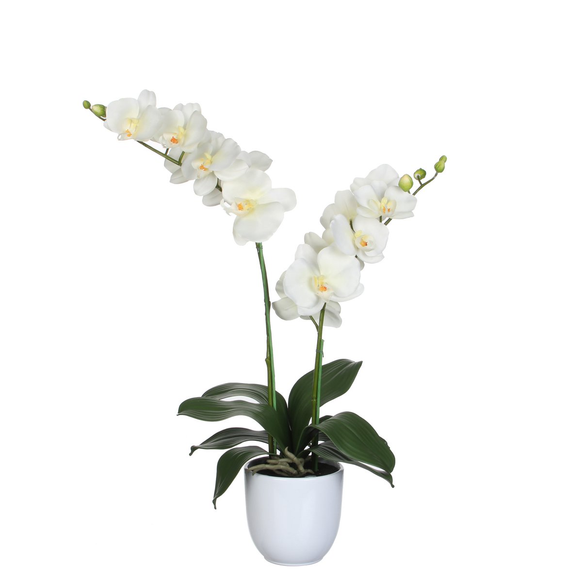 Mica Decorations - Phalaenopsis Kunstplant in Bloempot Tusca - H66 x Ø38 cm - Crème