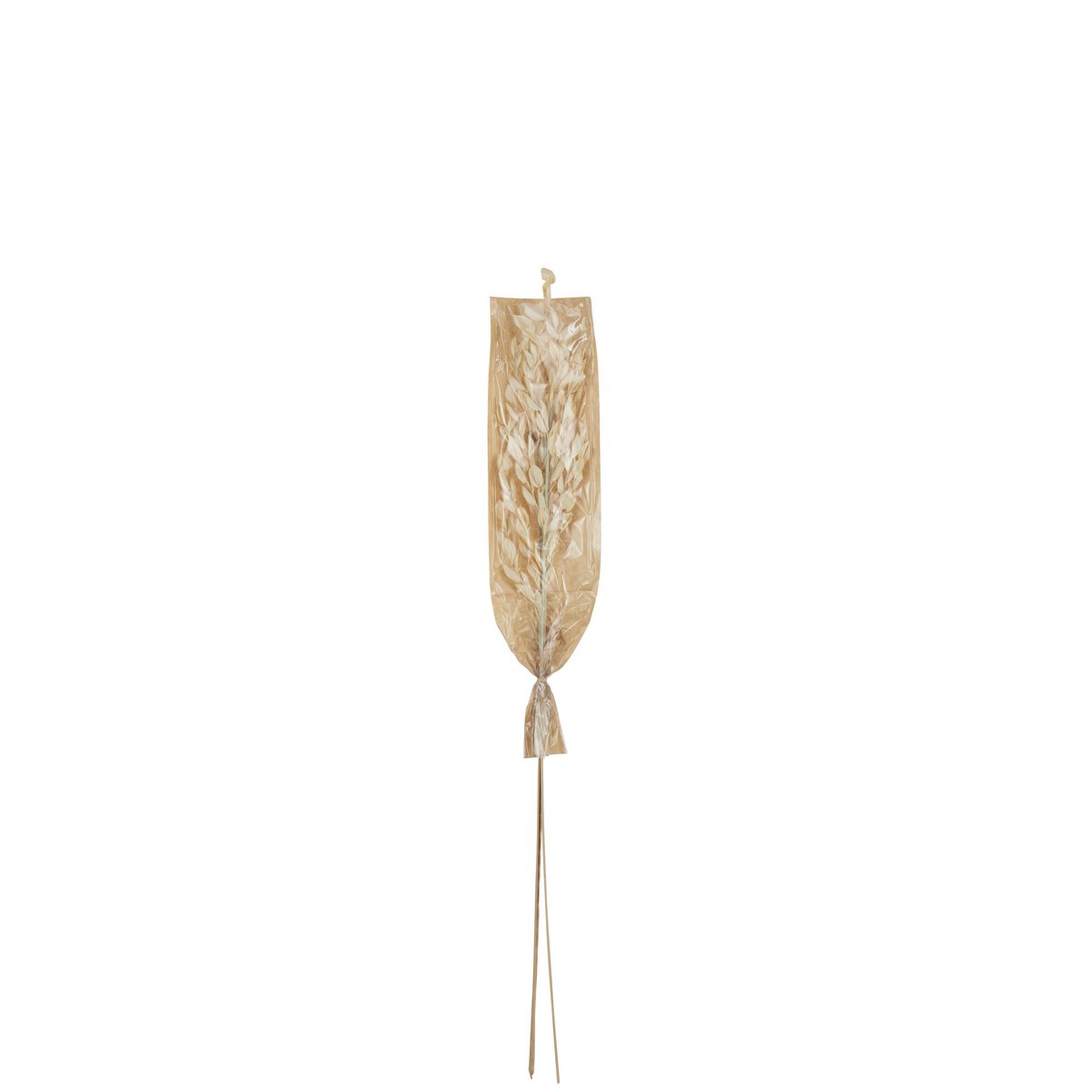 J-Line - Gedroogde Bladeren - Jute - Naturel - Small