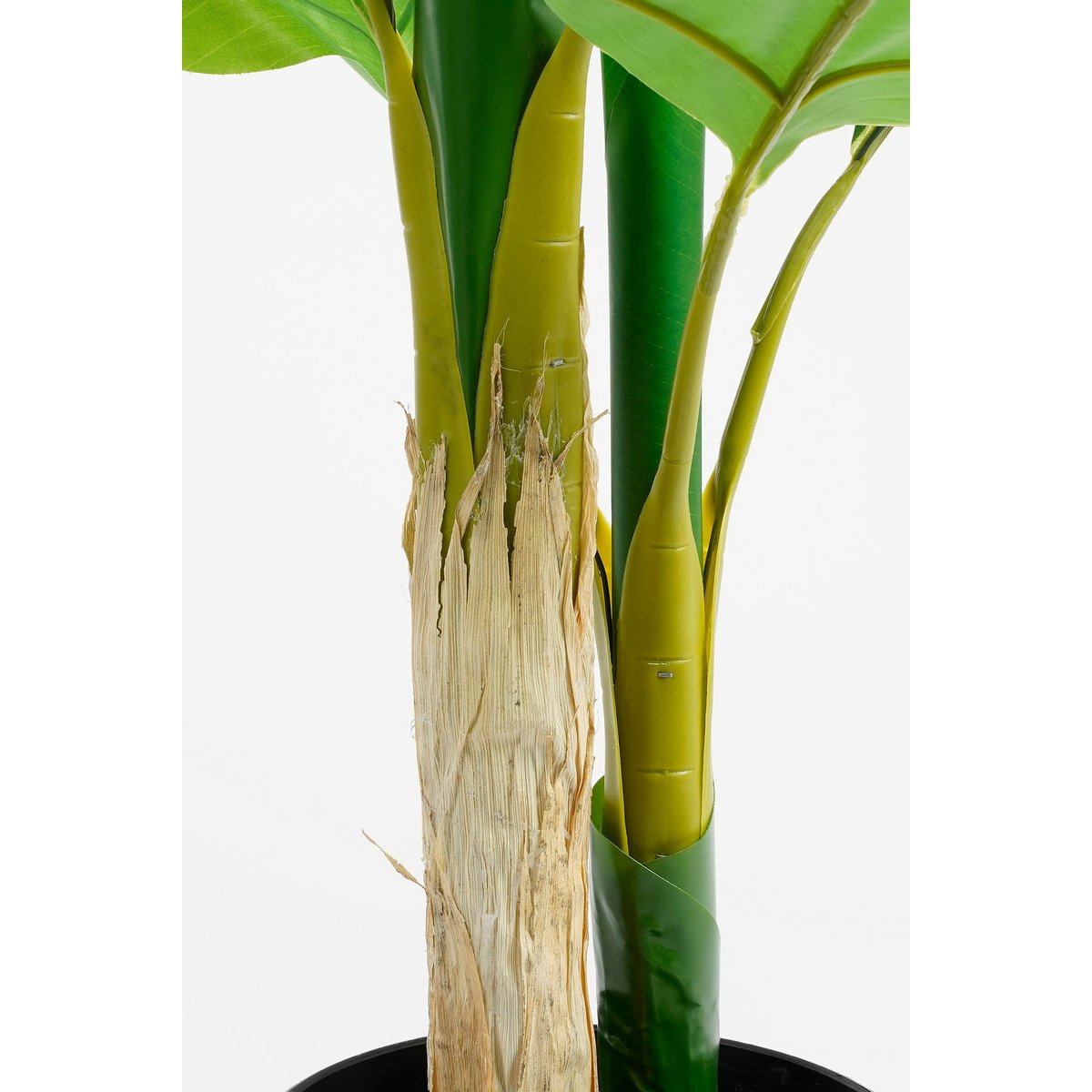 Mica Decorations - Strelitzia Kunstplant - H150 x Ø40 cm - Groen