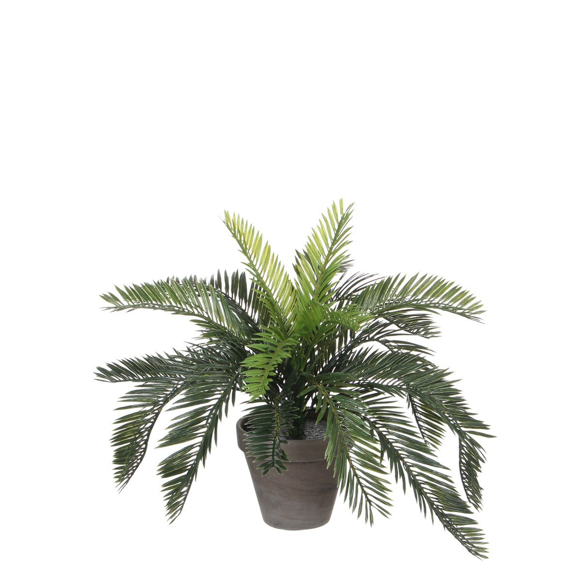 Mica Decorations - Cycas Palm Kunstplant in Bloempot Stan - H37 x Ø44 cm - Groen