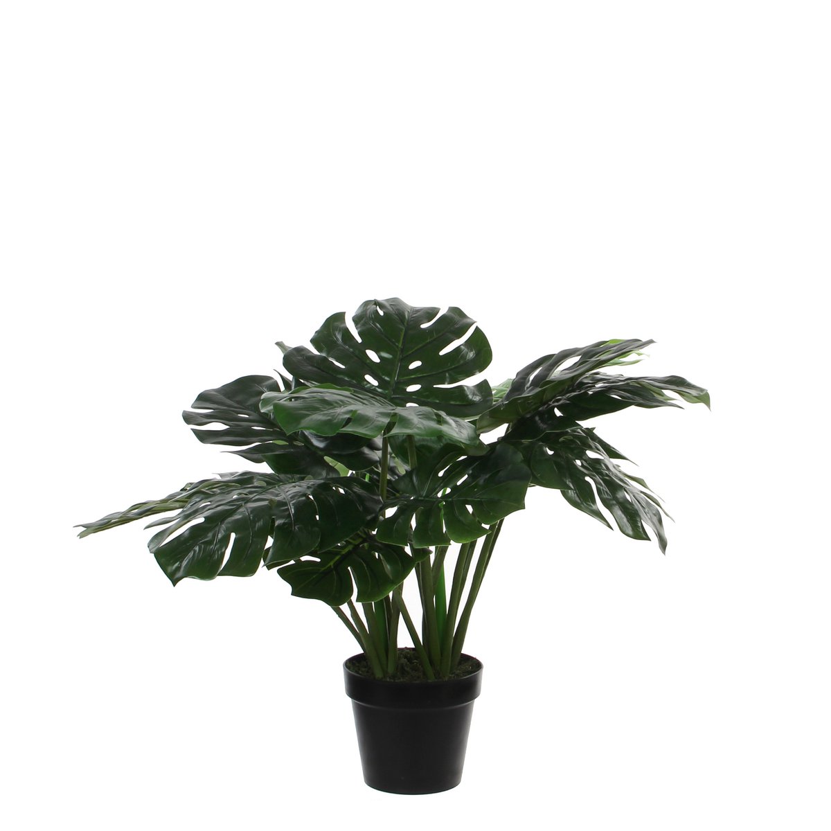 Mica Decorations - Monstera Kunstplant - H60 x Ø80 cm - Groen