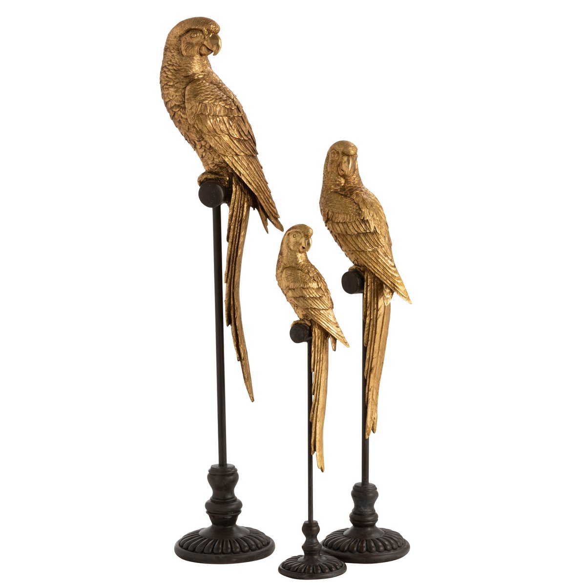 J-Line - Decoratief figuur 'Papegaai op stok' (Maat L, Goud, Polyresin)