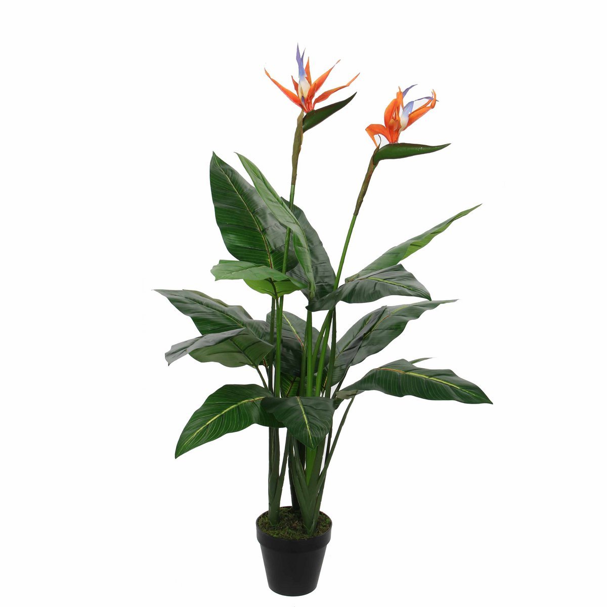 Mica Decorations - Strelitzia Kunstplant - H110 x Ø60 cm - Groen