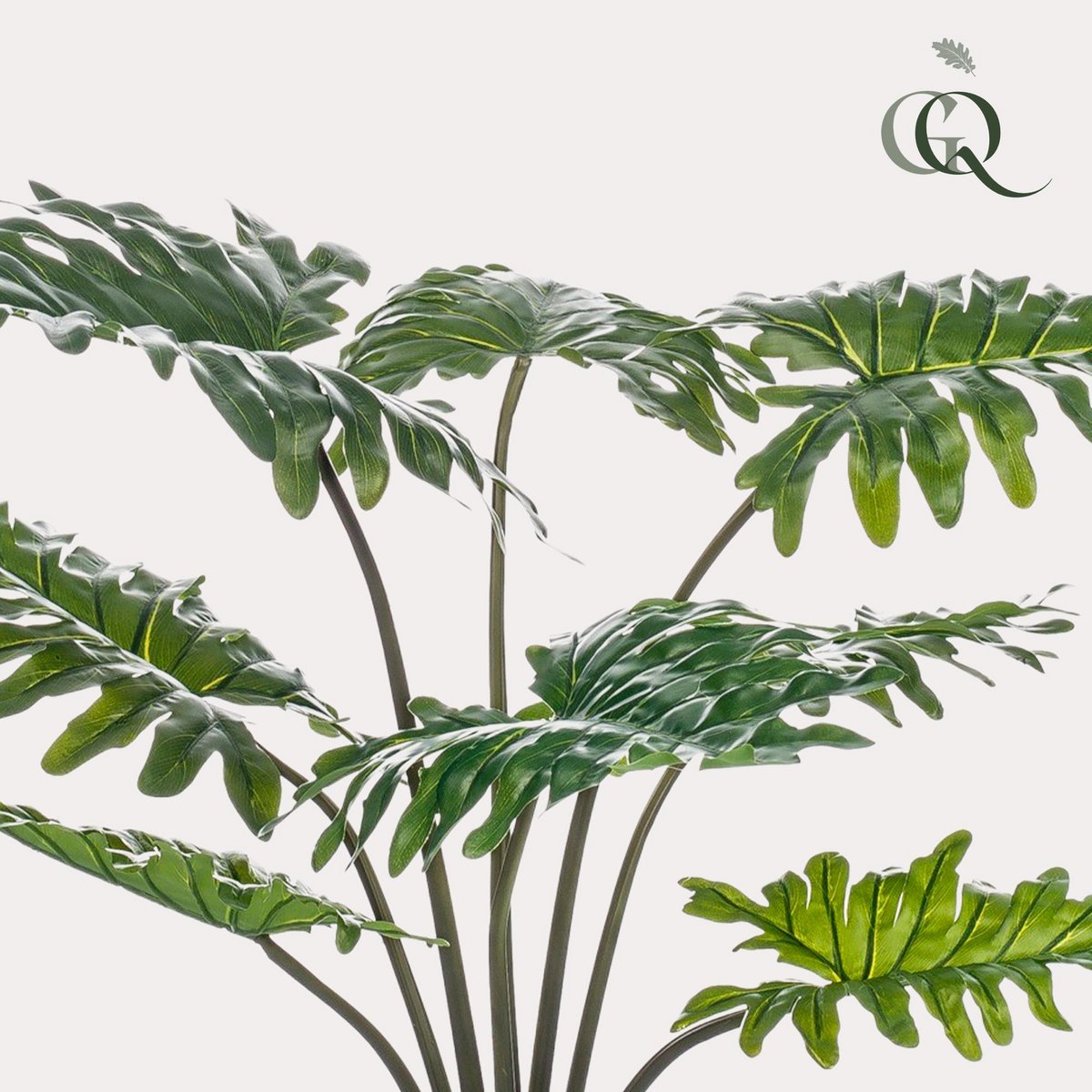 Green BoutiQ - Kunstplant - Philodendron - 60 cm