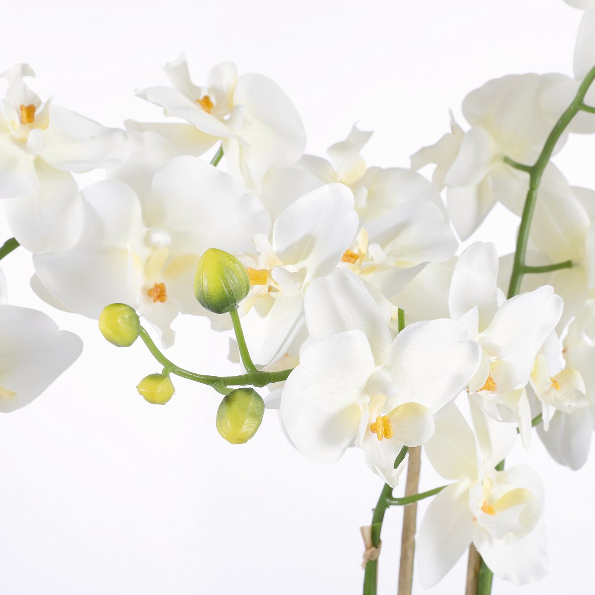 Mica Decorations - Phalaenopsis Kunstplant in Bloempot Tusca - H66 x Ø38 cm - Crème