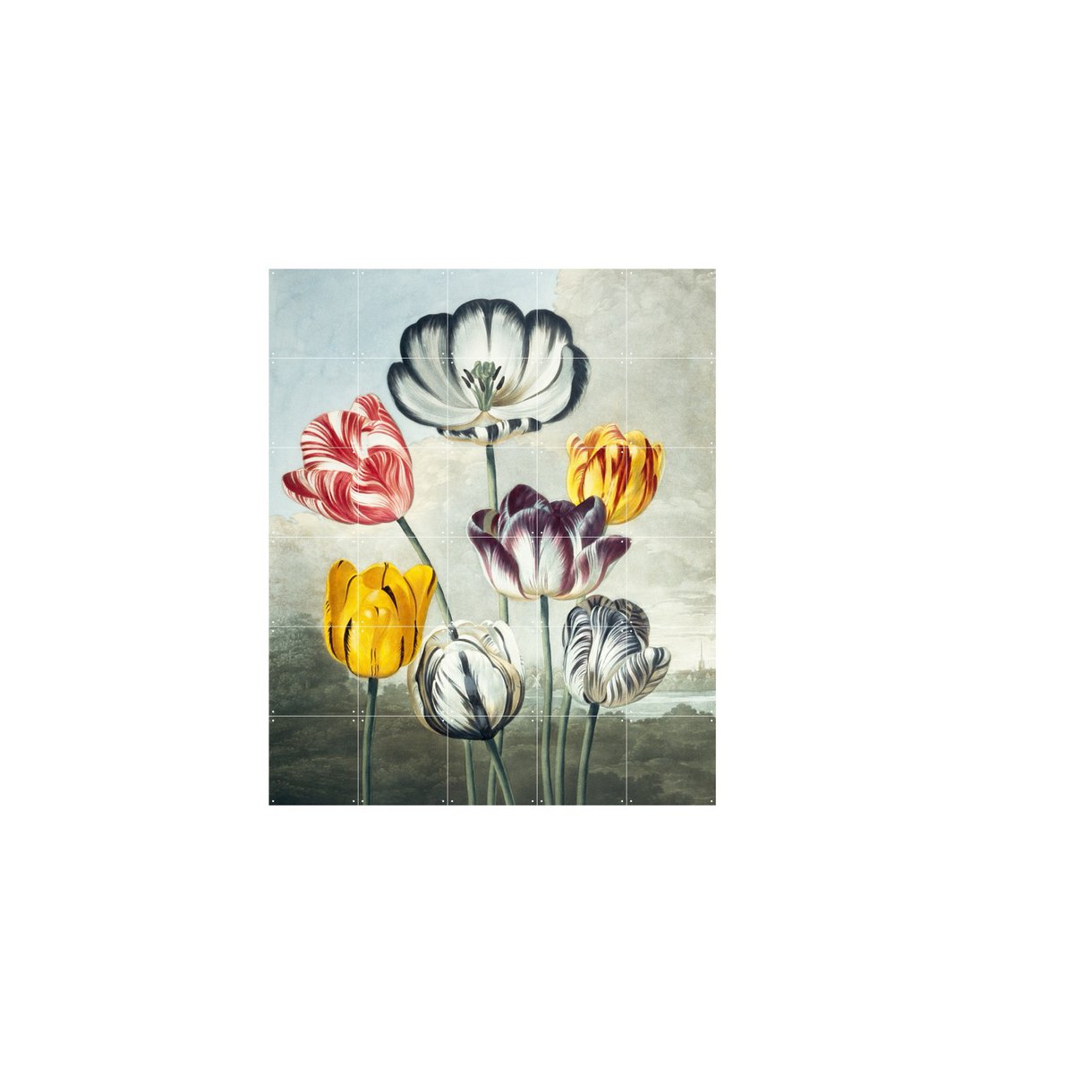 IXXI - Tulpen Wall art - Poster - Wanddecoratie