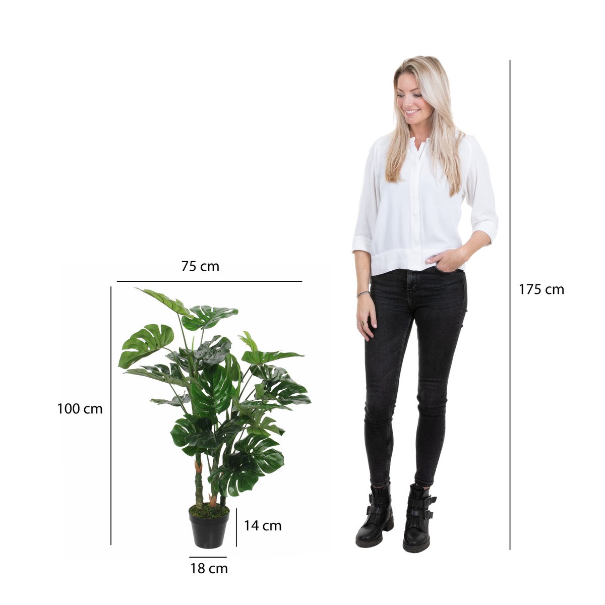 Mica Decorations - Monstera Kunstplant - H100 x Ø75 cm - Groen