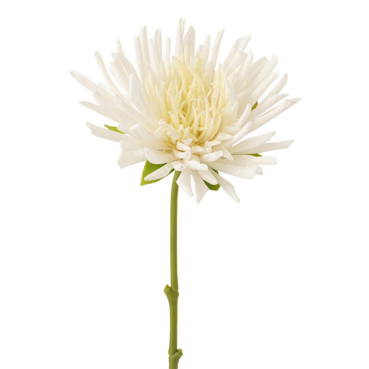 J-Line - Chrysant Mini Plastic Wit Small