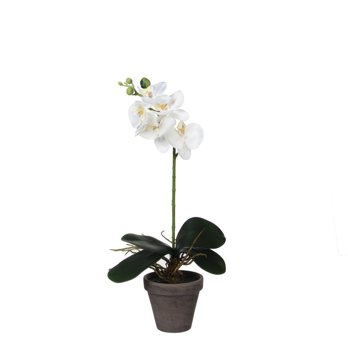 Mica Decorations - Phalaenopsis Kunstplant in Bloempot Stan - H48 x Ø13 cm - Wit