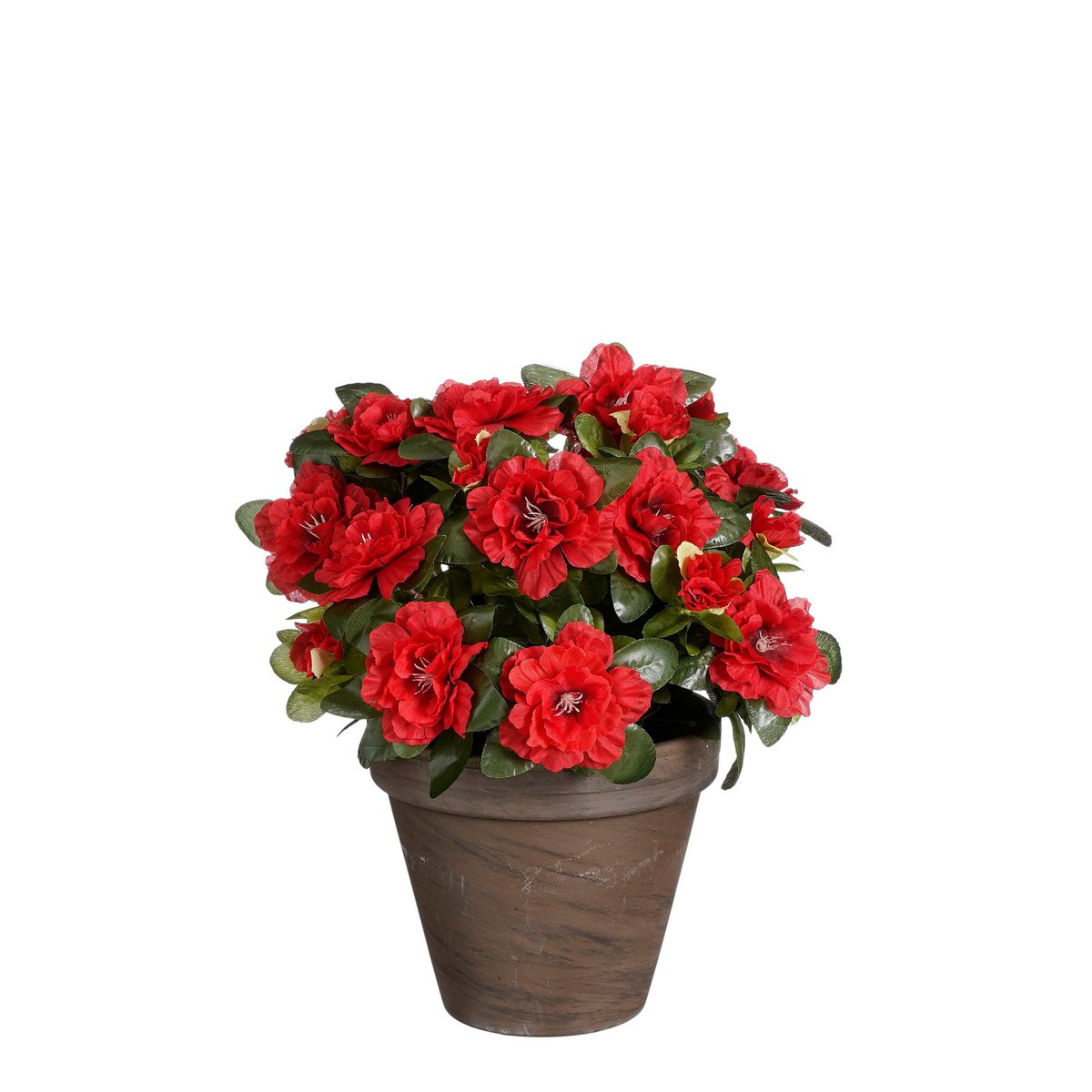 Mica Decorations - Azalea Kunstplant in Bloempot Stan - H31 x Ø26 cm - Rood