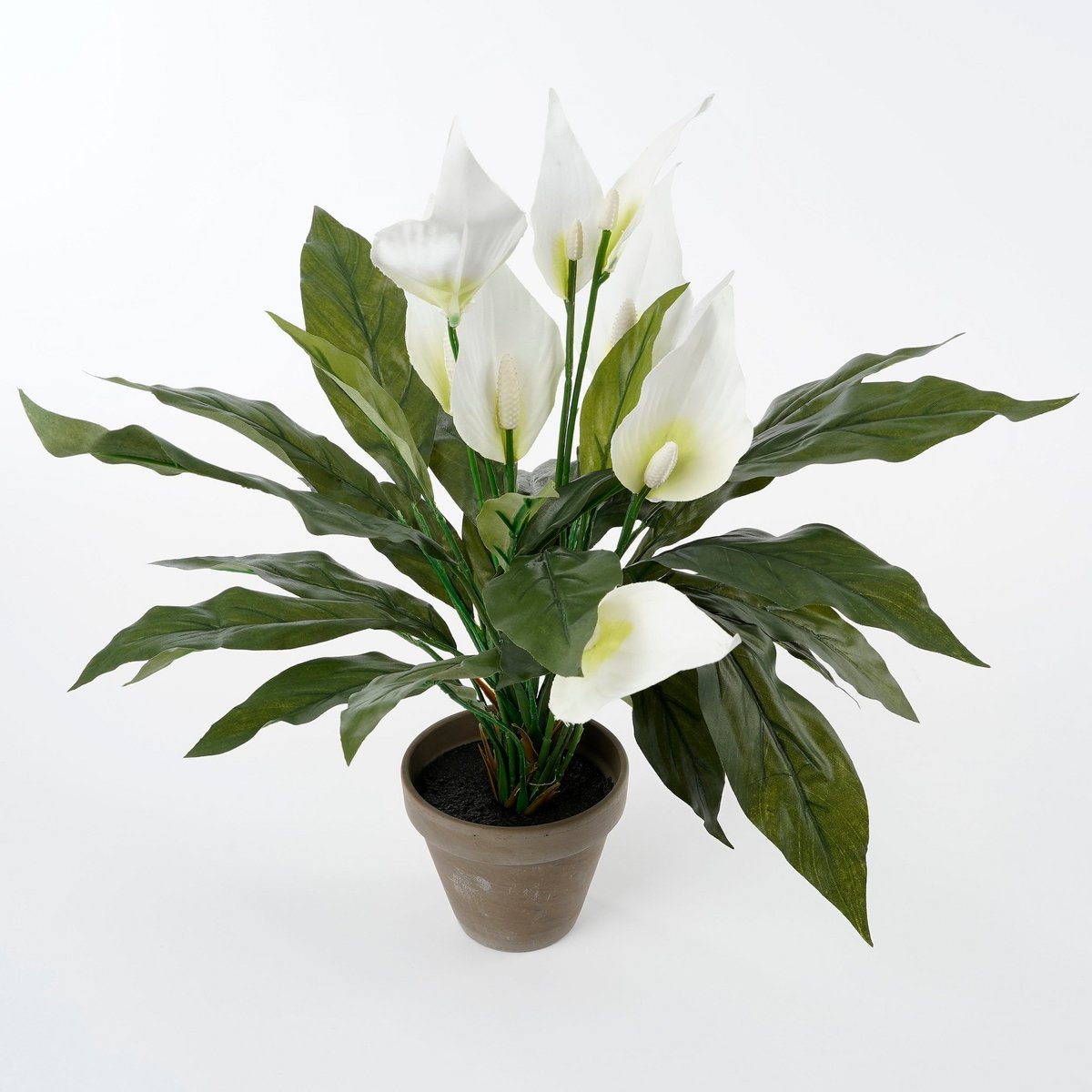 Mica Decorations - Spathiphyllum Kunstplant in Bloempot Stan - H50 x Ø40 cm - Wit