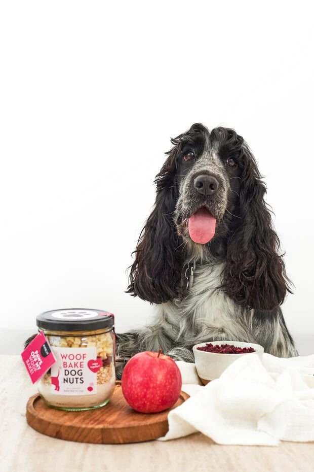 Pineut - Honden bakpakket 'Dognuts'