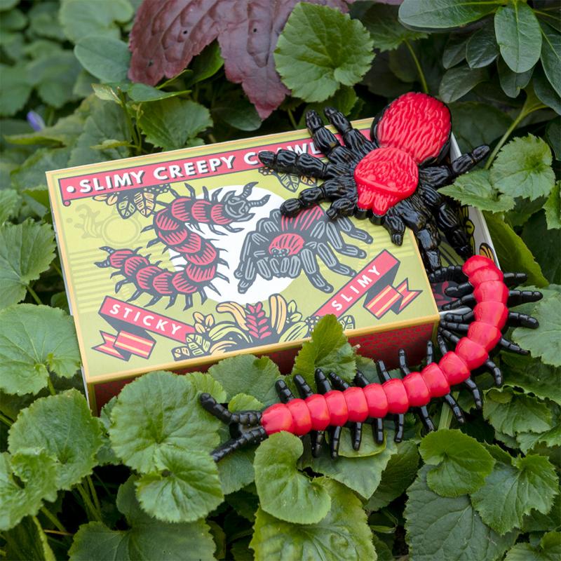 Rex London - Doosje met insecten 'Creepy Crawlies'