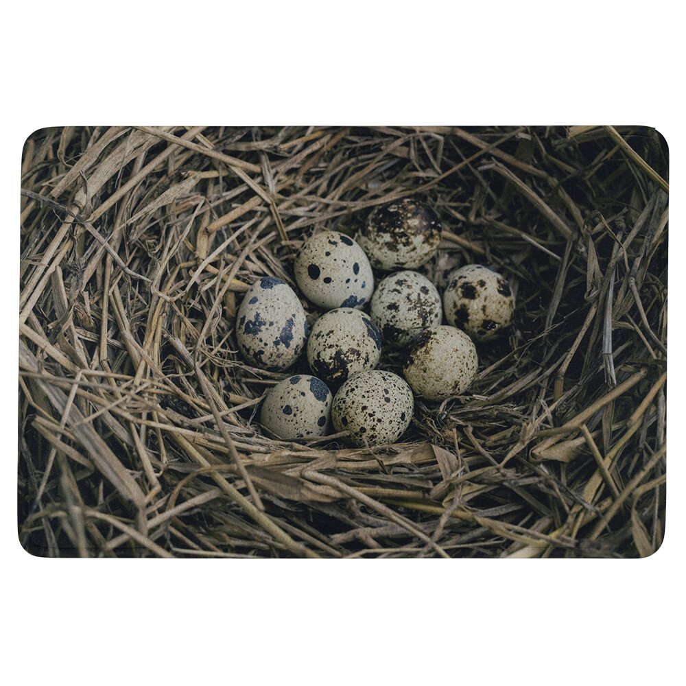 Mars & More - Deurmat 'Eieren in nest' (75x50cm)